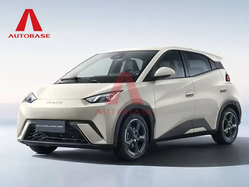 Byd larus